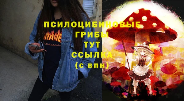 крисы Пересвет