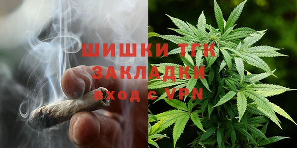 крисы Пересвет