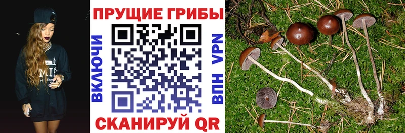 Купить где  Усолье  Галлюциногенные грибы ЛСД 
